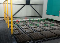 판지 생산 기업 4000Pcs/H를 위한 회전하는 자동적인 계란 쟁반 기계