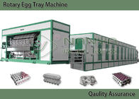 계란 쟁반, 계란 판지 배수 층을 위한 에너지 절약 펄프 조형 장비