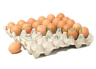 100kw 계란 쟁반 생산 라인