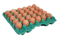 PLC 제어 단일층 120 kg/H 계란 카톤 기계
