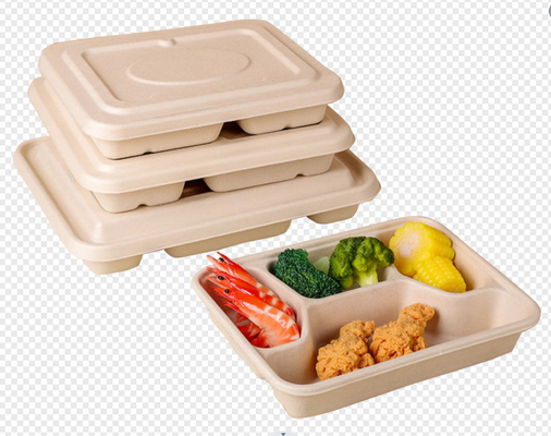 제지용 펄프 도시락 자동 로봇을 가진 타원형 그릇 조형기