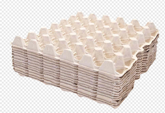 안정적 자동 펄프지는 난좌 기계 5000 pcs/H를 성형했습니다