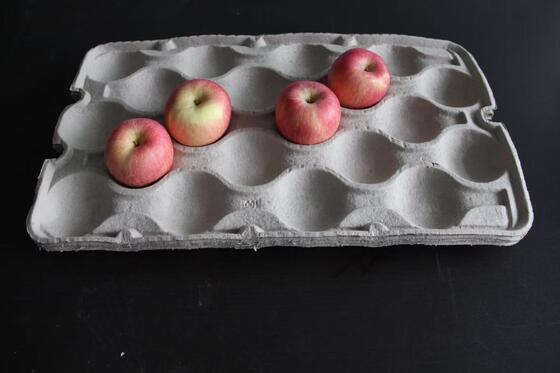 중간 수용량은 건조기를 가진 기계를 만드는 서류상 계란 쟁반을 재생합니다