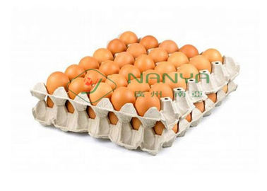 4000 Pcs/H를 가진 가득 차있는 자동적인 주조 펄프 계란 쟁반 기계