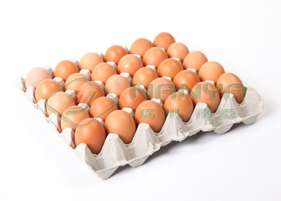 쟁반/세륨에 처분할 수 있는 서류상 회전하는 컵 홀더 펄프 조형 장비 Egg