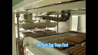 계란 트레이/소형 계란 트레이 기계/30팩 계란 트레이 기계용 소형 자동 펄프 성형기