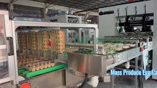 완전 자동 계란 상자 만들기 기계/대량 생산 계란 트레이/상자 만들기 기계