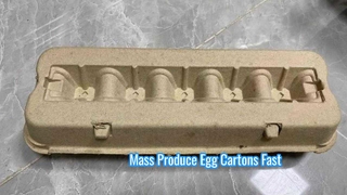 계란 상자/계란 상자 기계 기계/펄프 계란 상자용 완전 자동 펄프 성형기